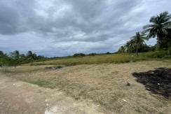 Blissful Land Flores Lot For Sale in  Brgy Malbago, Daanbantayan