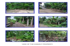 Residential Lot for Sale – Suay, Himamaylan City, Negros Occ